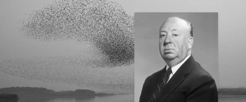 Top 7 Hitchcock Movies